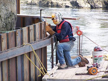 Top 12.jpg (45010 bytes)