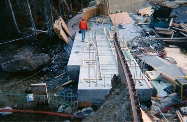 branch3.jpg (35844 bytes)