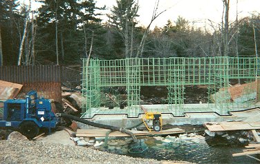 branch4.jpg (39211 bytes)