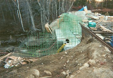 branch5.jpg (41289 bytes)