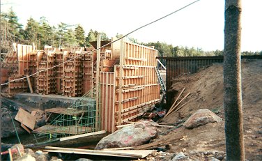 branch7.jpg (33221 bytes)