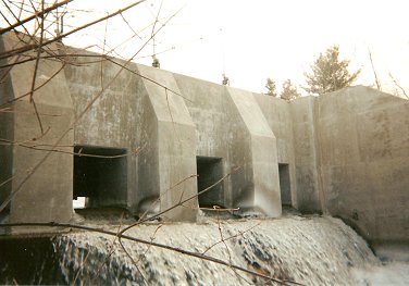 branch8.jpg (26051 bytes)